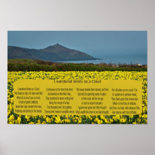 IK HEB LANGZAAM GEWANDERD ALS EEN CLOUD POSTER