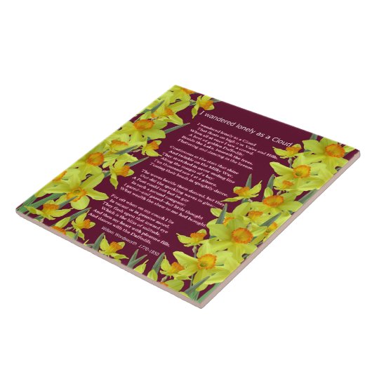 IK HEB LANGZAAM GEWANDERD ALS EEN CLOUD TEGELTJE (Zijkant)