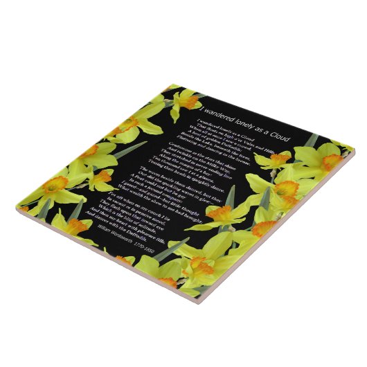 IK HEB LANGZAAM GEWANDERD ALS EEN CLOUD TEGELTJE (Zijkant)