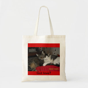 Ik heb liefde - katten in een tas