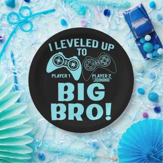 Ik heb me opgehouden tot Big Bro Papieren Bordje (Feest)