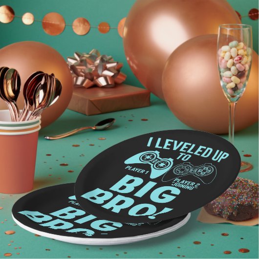 Ik heb me opgehouden tot Big Bro Papieren Bordje (Multi)