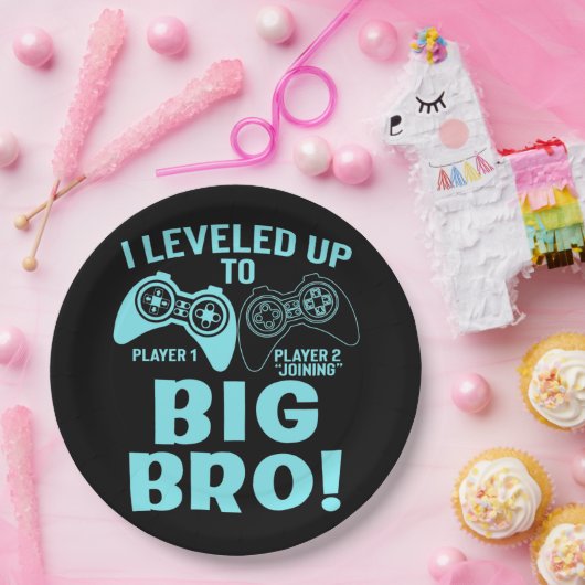 Ik heb me opgehouden tot Big Bro Papieren Bordje (Feest)