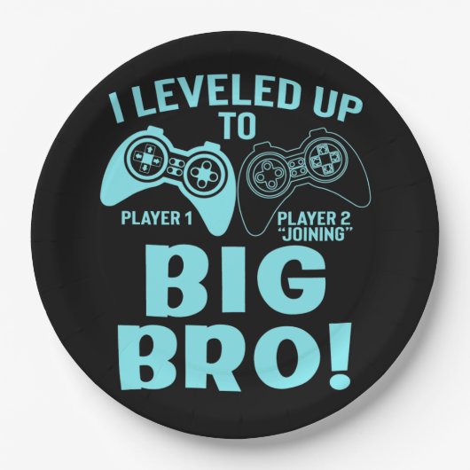 Ik heb me opgehouden tot Big Bro Papieren Bordje (Voorkant)