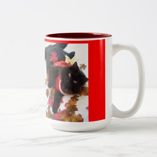 Ik heb Menopauze overleefd! MOK (Rechts)