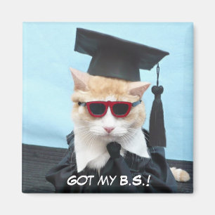 Ik heb mijn B.S.! Magneet