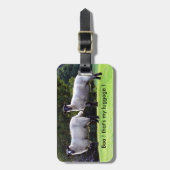 Ik heb mijn bagage gevonden. bagagelabel (Voorkant verticaal)