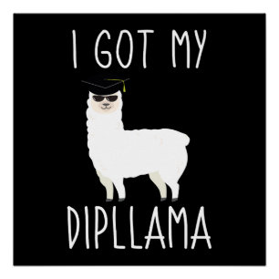 Ik heb mijn dipllama Grappig afstudeercadeau voor  Perfect Poster