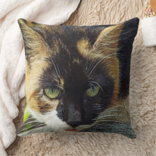 "IK HEB MIJN GROENE OGEN OP JE!"/CAT HEAD-SHOT KUSSEN