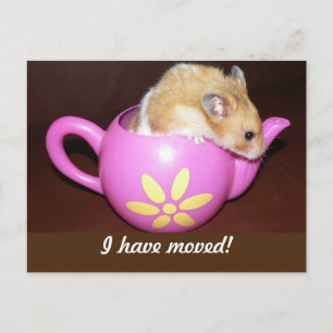 Ik heb mijn hamster verplaatst aankondigingskaart