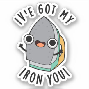 Ik heb mijn Iron You Funny Appliance Pun Sticker