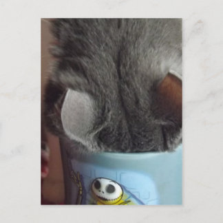 IK HEB MIJN KOFFIE GEHAD! BRIEFKAART