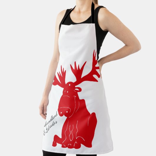 Ik heb mijn losgeld van Newfoundland, aangepast sc Schort (Insitu)