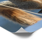 Ik heb mijn noten verloren. poster (Hoek)