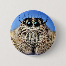 Ik heb mijn ogen op je!