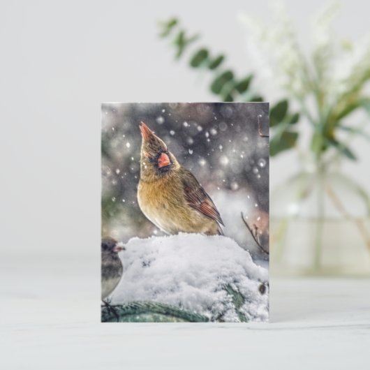 Ik heb mijn oog op jou. briefkaart (Staand voorkant)