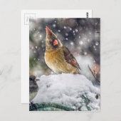 Ik heb mijn oog op jou. briefkaart (Voorkant / Achterkant)