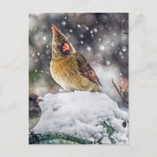 Ik heb mijn oog op jou. briefkaart (Voorkant)