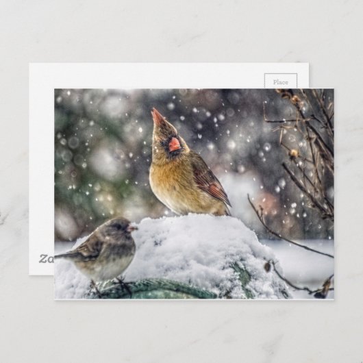 Ik heb mijn oog op jou. briefkaart (Voorkant / Achterkant)