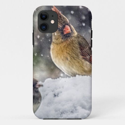 Ik heb mijn oog op jou. Case-Mate iPhone case (Achterkant)