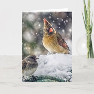 Ik heb mijn oog op jou. feestdagen kaart