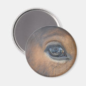 Ik heb mijn oog op jou. magneet (Voorkant / Achterkant)