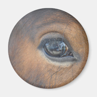 Ik heb mijn oog op jou. magneet