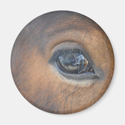 Ik heb mijn oog op jou. magneet (Voorkant)