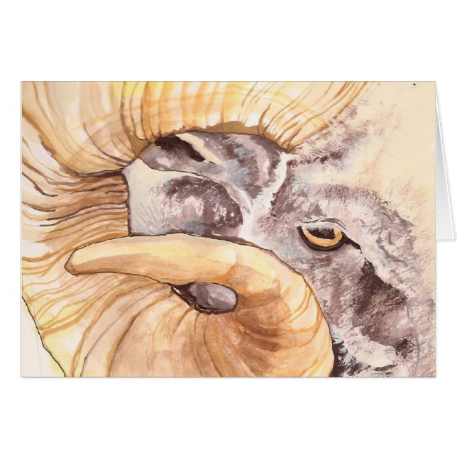 ik heb mijn oog op ooien (Voorkant Horizontaal)