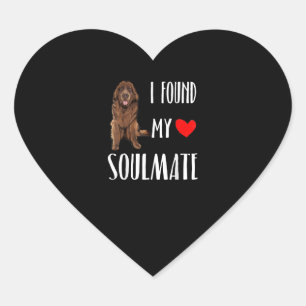 Ik heb mijn zielgenmaat gevonden. cadeau voor be hart sticker