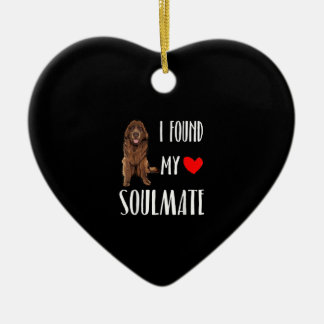 Ik heb mijn zielgenmaat gevonden. | cadeau voor be keramisch ornament