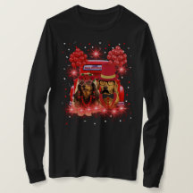 Ik heb net Ladie's T-shirt met lange mouwen vastge