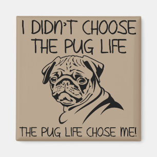 Ik heb niet gekozen voor het puggenleven Grappige  Magneet