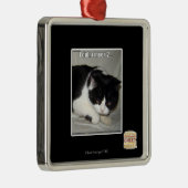 Ik heb niet meen 2 metalen ornament (Rechts)