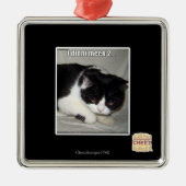 Ik heb niet meen 2 metalen ornament (Voorkant)