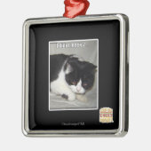 Ik heb niet meen 2 metalen ornament (Links)