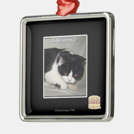 Ik heb niet meen 2 metalen ornament (Links)