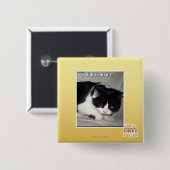 Ik heb niet meen 2 vierkante button 5,1 cm (Voorkant /achterkant)