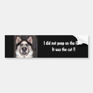 Ik heb niet op de vloer gestaan... maar de kat. bumpersticker