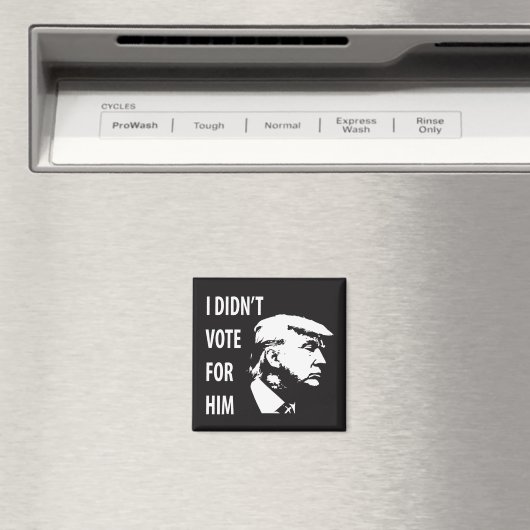 Ik heb niet voor Trump gestemd Magneet (Insitu (Vaatwasser))