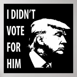 Ik heb niet voor Trump gestemd Poster