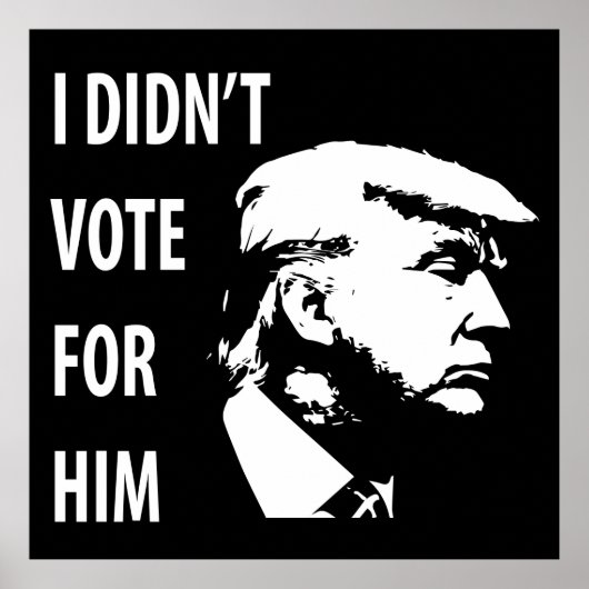 Ik heb niet voor Trump gestemd Poster (Voorkant)