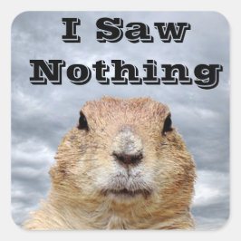 Ik heb niets gezien op Groundhog Day Vierkante Sticker