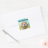 Ik heb niets gezien op Groundhog Day Vierkante Sticker (Envelop)