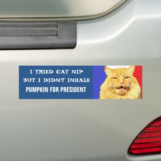 Ik heb Nip geprobeerd, ik heb Meme niet ingehaliet Bumpersticker (Op auto)