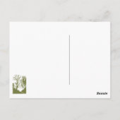 Ik heb nooit een ontevreden boom gezien briefkaart (Achterkant)