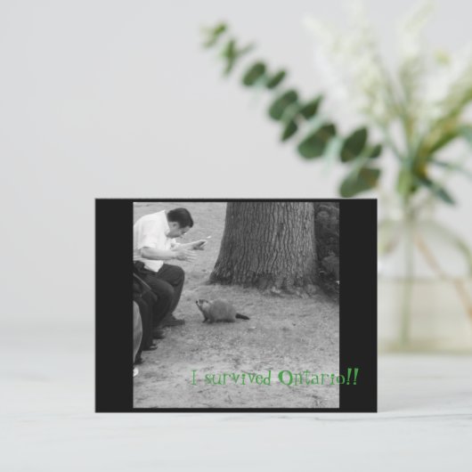 Ik heb Ontario overleefd! Briefkaart (Staand voorkant)