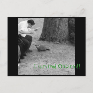 Ik heb Ontario overleefd! Briefkaart