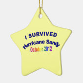 Ik heb orkaan Sandy Ornament overleven (Links)