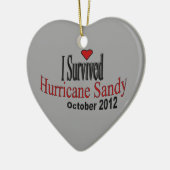 Ik heb orkaan Sandy Ornament overleven (Links)